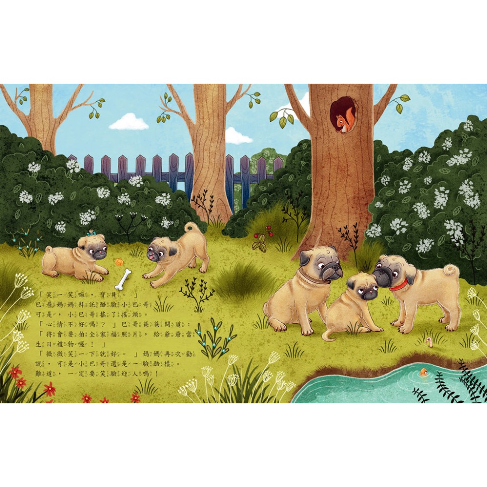 酷臉小巴哥笑一笑嘛！-細節圖2