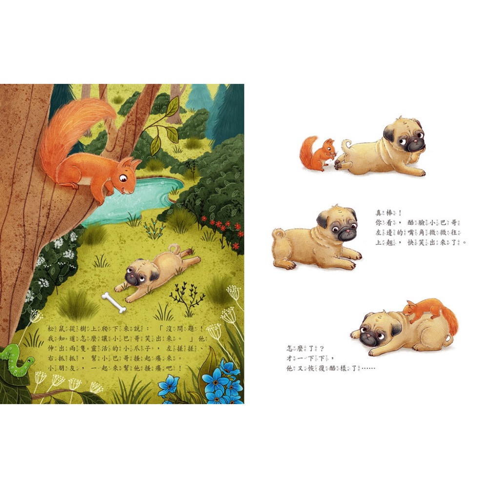 酷臉小巴哥笑一笑嘛！-細節圖4