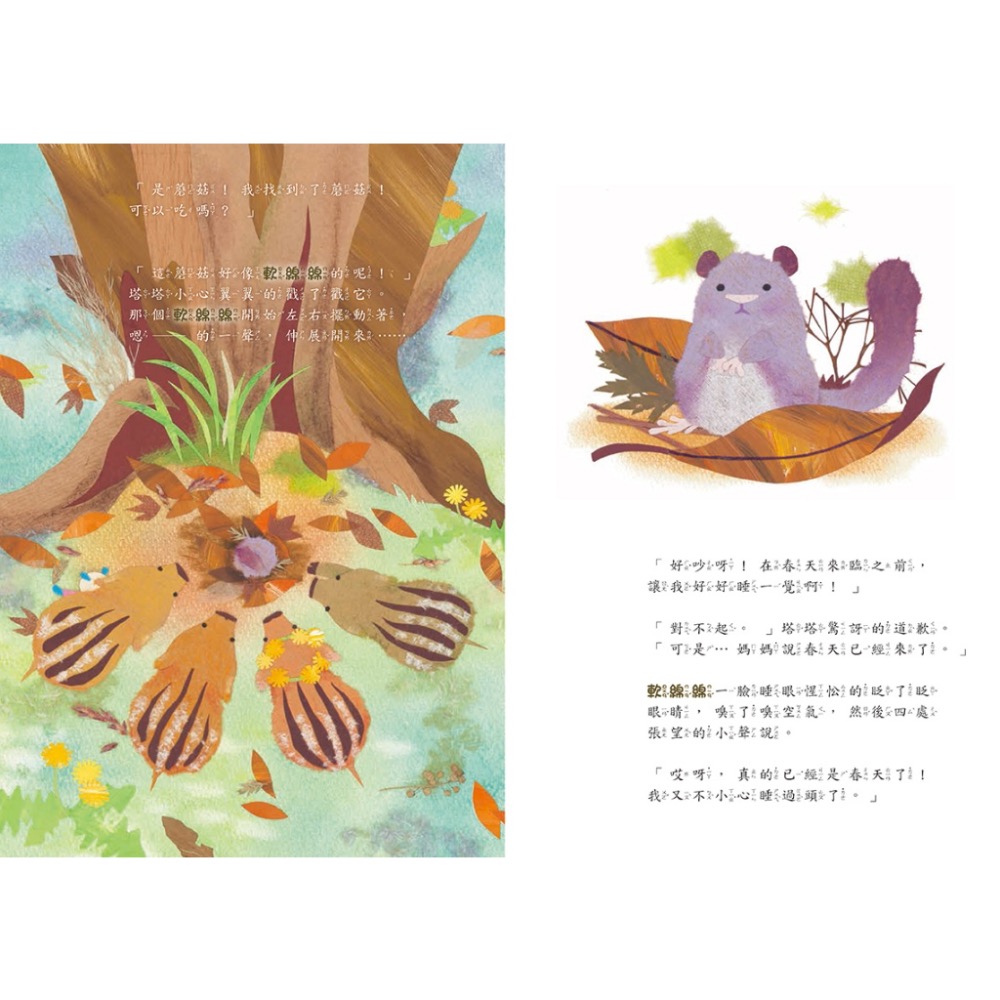 小野豬的春天冒險記-細節圖3