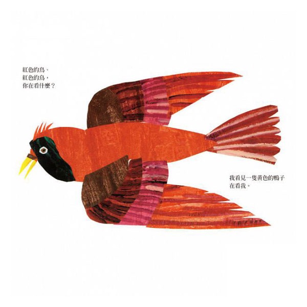 棕色的熊你在看什麼-細節圖3