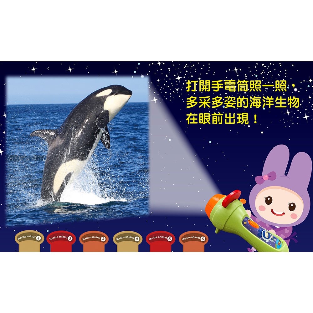 忍者兔魔法投影手電筒：海洋生物百科圖鑑【48張投影影像，帶你認識美麗又獨特的海洋生物！】-細節圖4