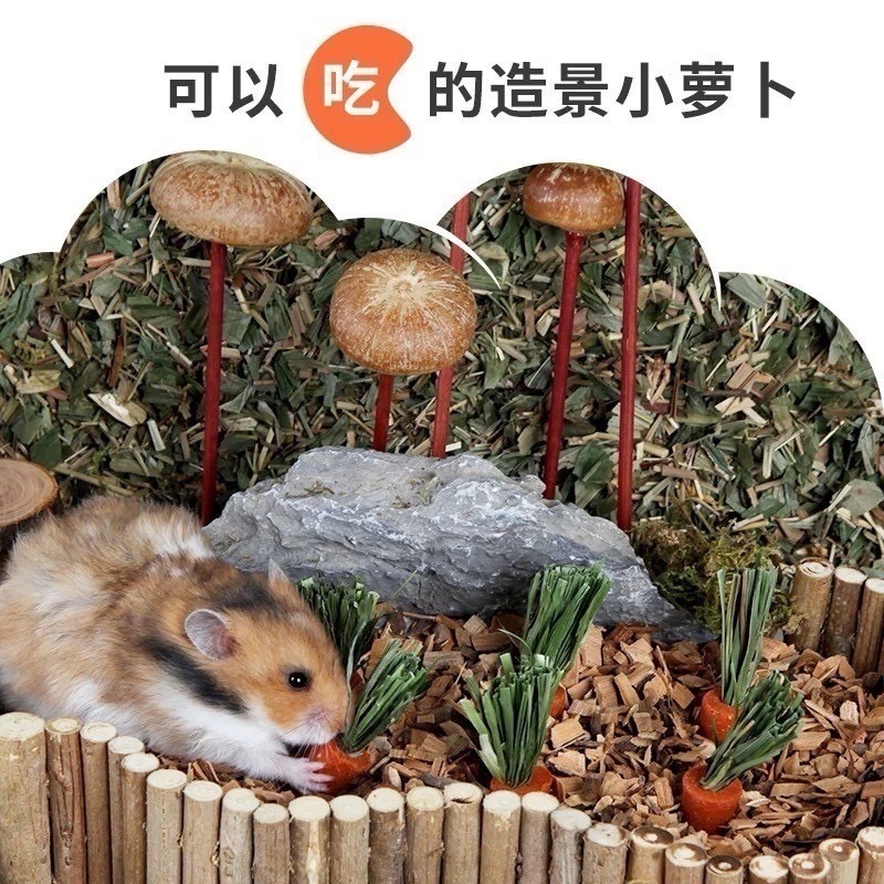 【布卡星零食-小胡蘿蔔磨牙棒】-細節圖3