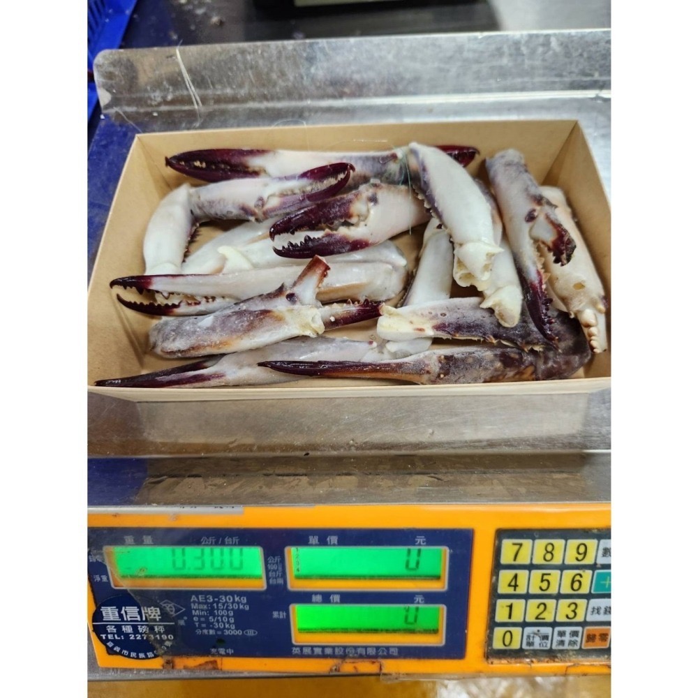 梭子蟹腳-細節圖4