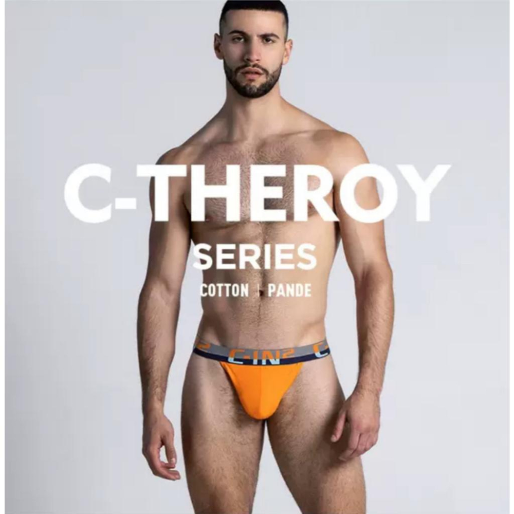 C-IN2 C-Theory 低腰多彩拚色丁字褲 CIN2 莫蘭迪色丁字 後空內褲 C8002-細節圖2