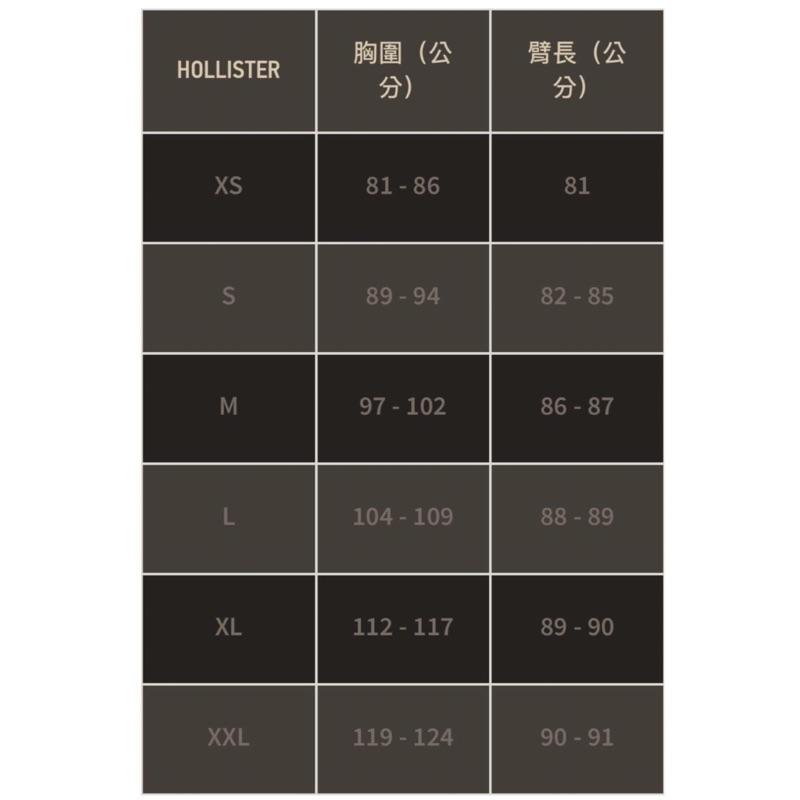 全新正品 Hollister 經典標誌 潮連帽T恤 海鷗 S號 男士 帽T  潮T-細節圖7