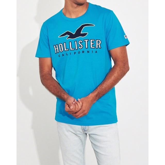 全新正品Hollister經典標誌短袖T恤 海鷗短T 男版XS 國外專櫃購入-細節圖2