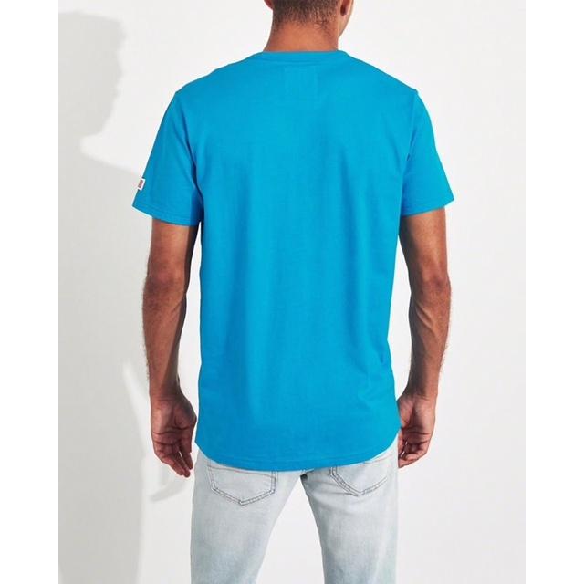 全新正品Hollister經典標誌短袖T恤 海鷗短T 男版XS 國外專櫃購入-細節圖3