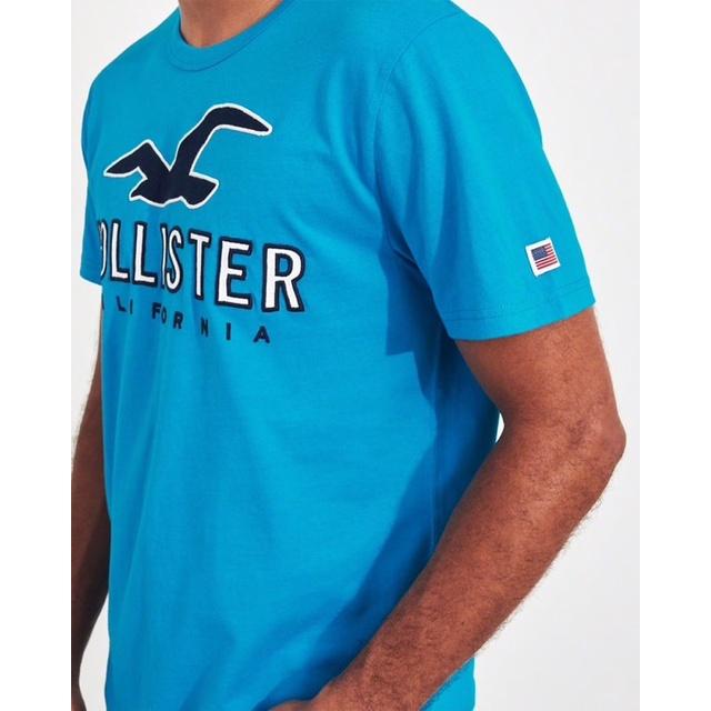 全新正品Hollister經典標誌短袖T恤 海鷗短T 男版XS 國外專櫃購入-細節圖4