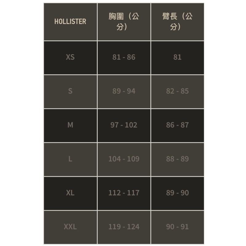 全新正品Hollister經典標誌短袖T恤 海鷗短T 男版XS 國外專櫃購入-細節圖5