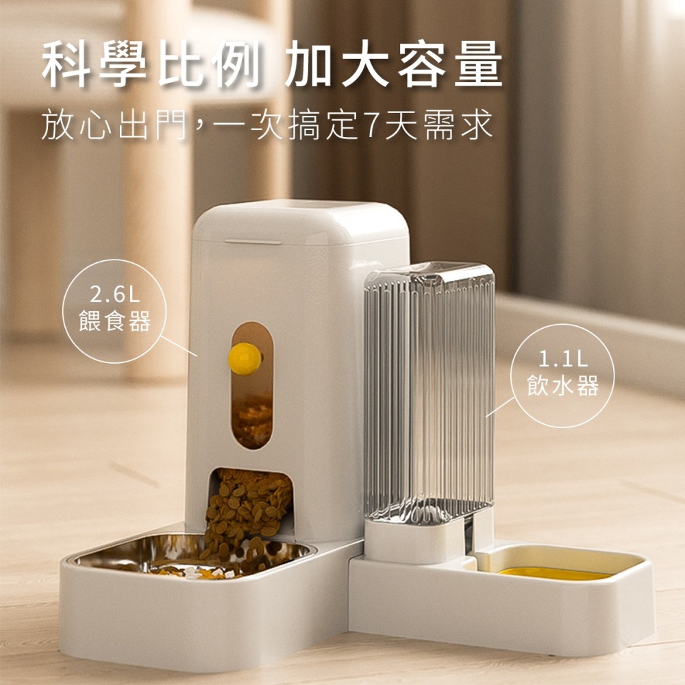 寵物自動餵食器 自動餵食 寵物 寵物機 寵物飲水機 自動餵食器 自動餵食機 飲水機 寵物餵食器 餵食器 飼料機 機-細節圖2