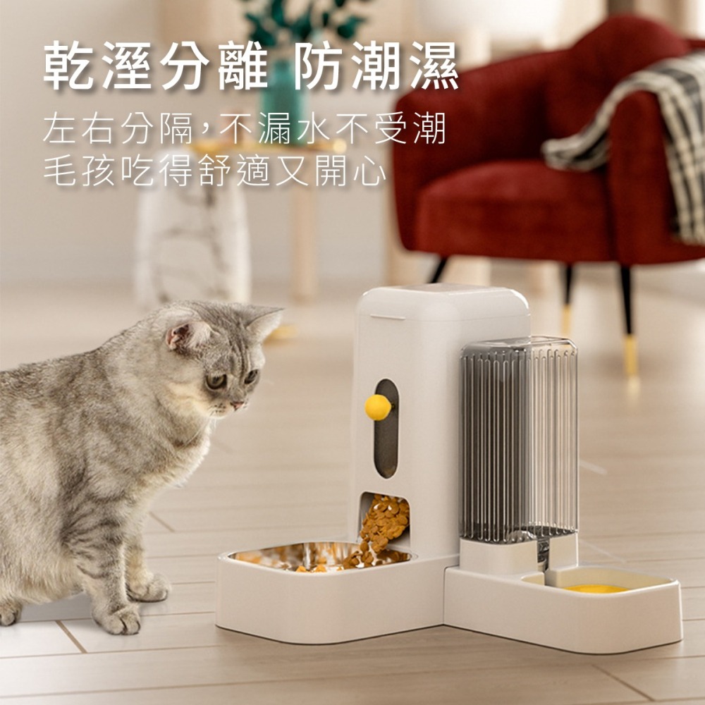 寵物自動餵食器 自動餵食 寵物 寵物機 寵物飲水機 自動餵食器 自動餵食機 飲水機 寵物餵食器 餵食器 飼料機 機-細節圖7