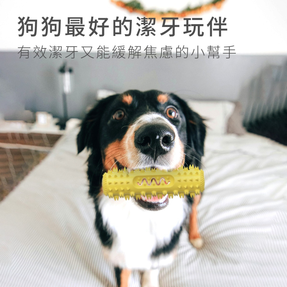 潔牙骨 潔牙棒 寵物牙刷 寵物玩具 寵物潔牙骨 狗狗潔牙骨 狗狗潔牙棒 狗狗磨牙骨 耐咬潔牙骨 潔牙 牙刷 狗狗玩具-細節圖2