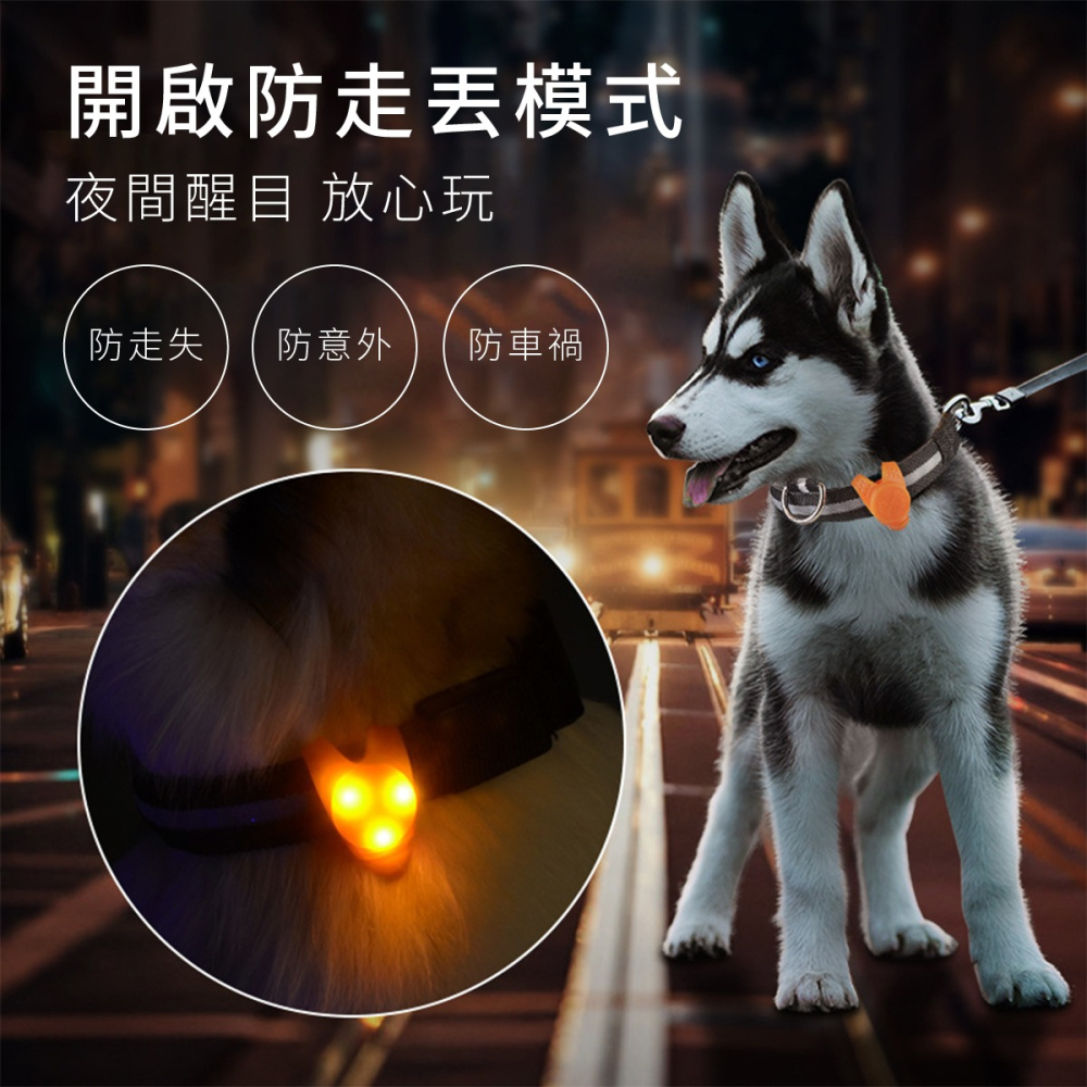 寵物發光吊飾 LED吊飾 吊飾 寵物吊飾 狗吊飾 毛小孩吊飾 防走失 警示燈 露營 防水 寵物-細節圖2