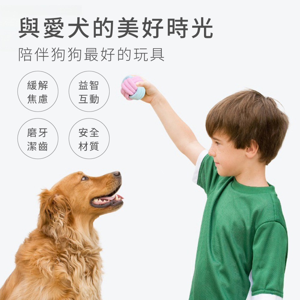 寵物玩具12件組 寵物玩具 寵物 犬 toy 毛小孩 狗狗玩具 狗玩具 小狗玩具 耐咬玩具 玩具 寵物棉繩玩具-細節圖2