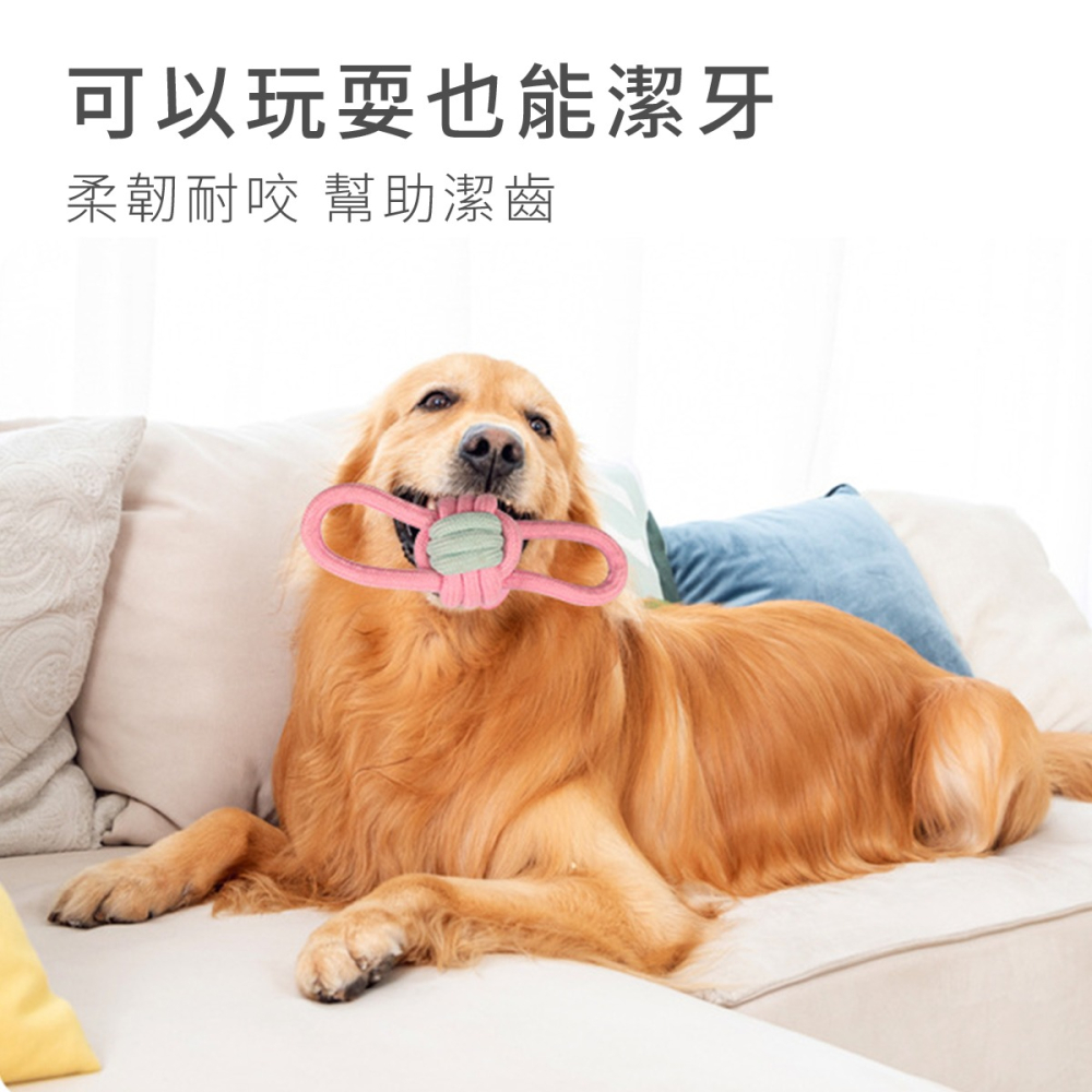 寵物玩具12件組 寵物玩具 寵物 犬 toy 毛小孩 狗狗玩具 狗玩具 小狗玩具 耐咬玩具 玩具 寵物棉繩玩具-細節圖3