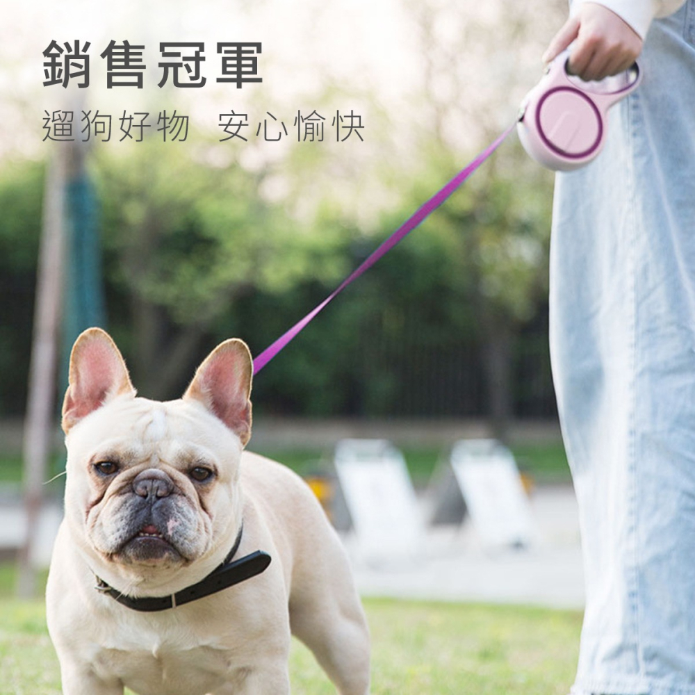 寵物牽繩 寵物伸縮牽繩 伸縮牽繩 狗牽繩 狗伸縮牽繩 毛小孩牽繩 自動牽繩 伸縮自動牽繩 寵物牽引繩 狗牽引繩-細節圖2
