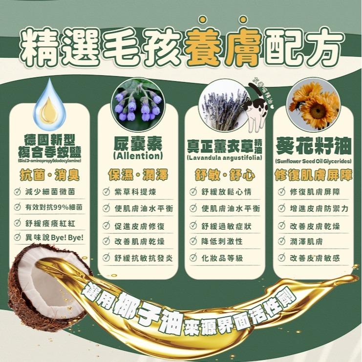 【Aether依鈦】寵物抗菌洗毛精草本清香 依鈦 洗毛精 寵物洗毛精 寵物沐浴乳 沐浴乳 洗澡 狗狗洗澡 貓咪洗澡 寵物-細節圖3