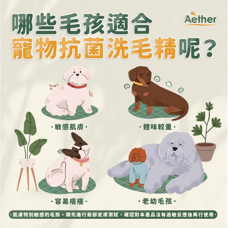 【Aether依鈦】寵物抗菌洗毛精草本清香 依鈦 洗毛精 寵物洗毛精 寵物沐浴乳 沐浴乳 洗澡 狗狗洗澡 貓咪洗澡 寵物-細節圖4