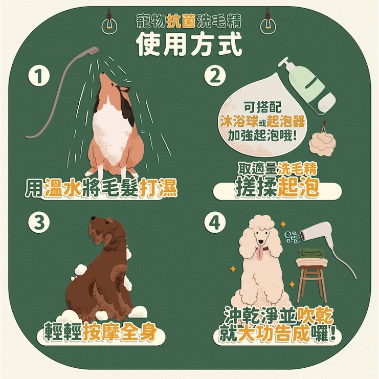 【Aether依鈦】寵物抗菌洗毛精草本清香 依鈦 洗毛精 寵物洗毛精 寵物沐浴乳 沐浴乳 洗澡 狗狗洗澡 貓咪洗澡 寵物-細節圖5