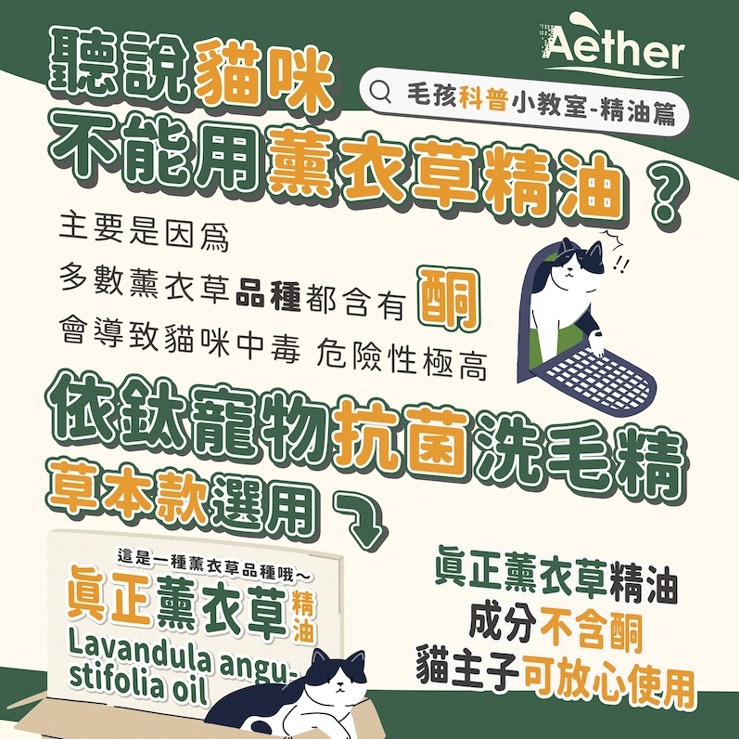【Aether依鈦】寵物抗菌洗毛精草本清香 依鈦 洗毛精 寵物洗毛精 寵物沐浴乳 沐浴乳 洗澡 狗狗洗澡 貓咪洗澡 寵物-細節圖6