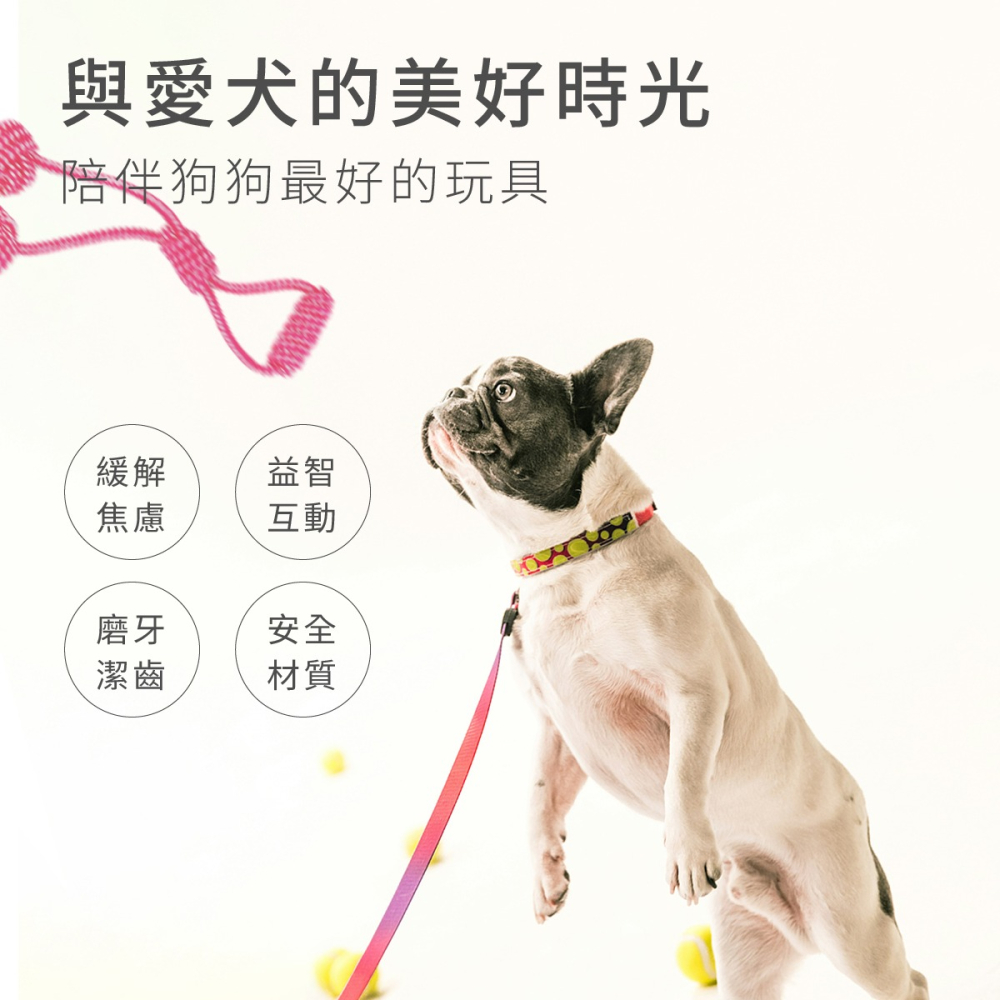 寵物玩具7件組 寵物玩具 寵物 犬 toy 毛小孩 狗狗玩具 狗玩具 小狗玩具 耐咬玩具 玩具 寵物棉繩玩具-細節圖2