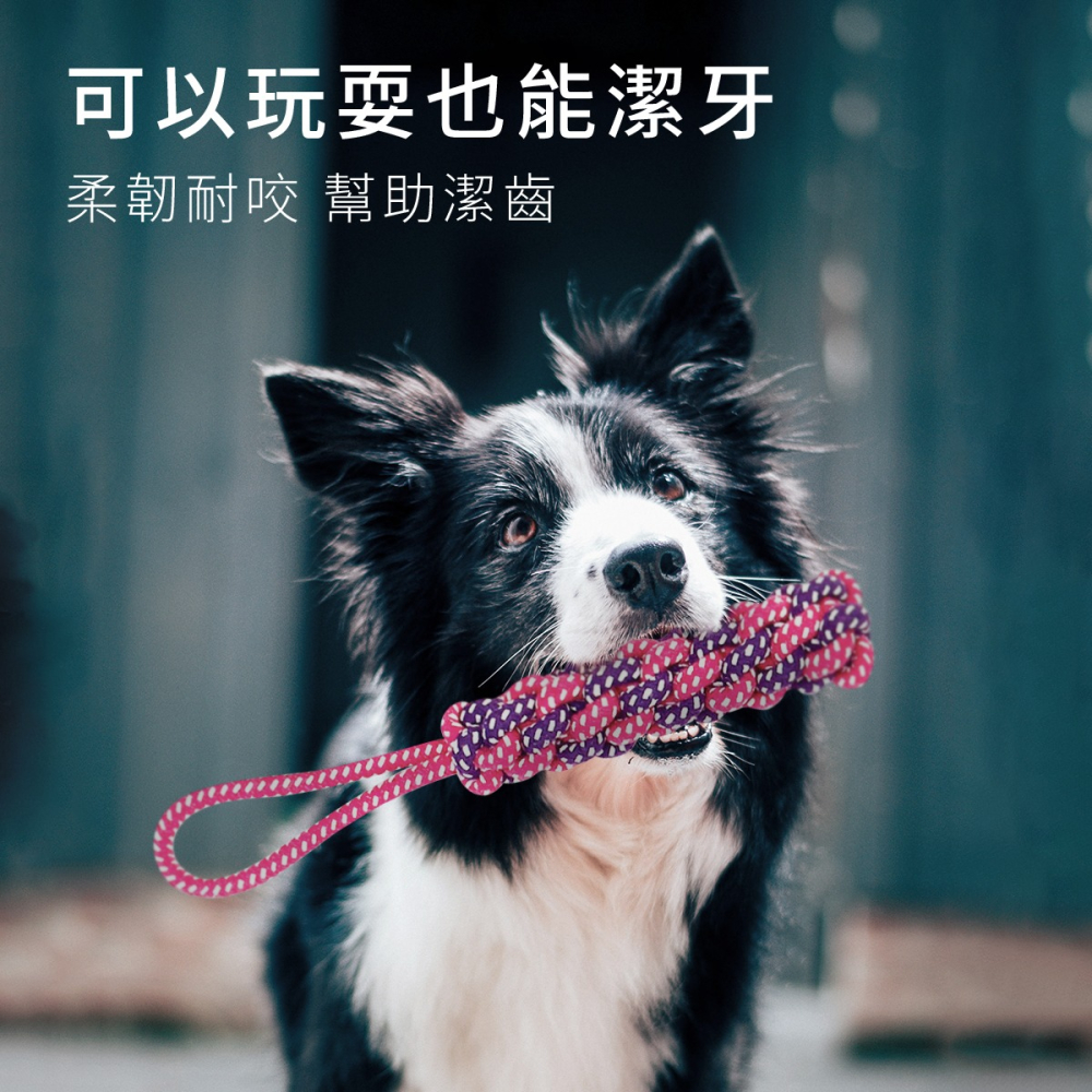 寵物玩具7件組 寵物玩具 寵物 犬 toy 毛小孩 狗狗玩具 狗玩具 小狗玩具 耐咬玩具 玩具 寵物棉繩玩具-細節圖3