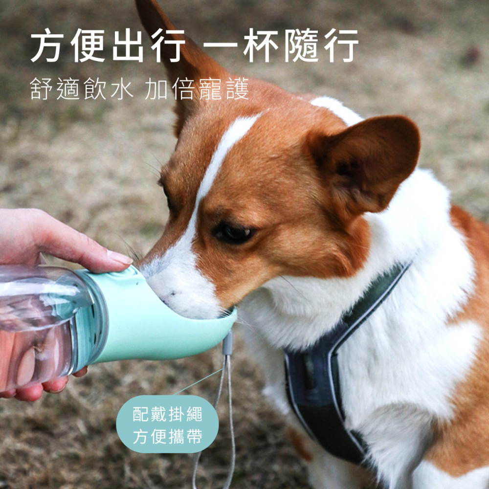 寵物水壺 寵物水杯 外出水壺 水壺 寵物喝水 寵物飲水 狗水壺 寵物 寵物水瓶 狗狗喝水器 飲水器 狗狗飲水器 狗狗喝水-細節圖2