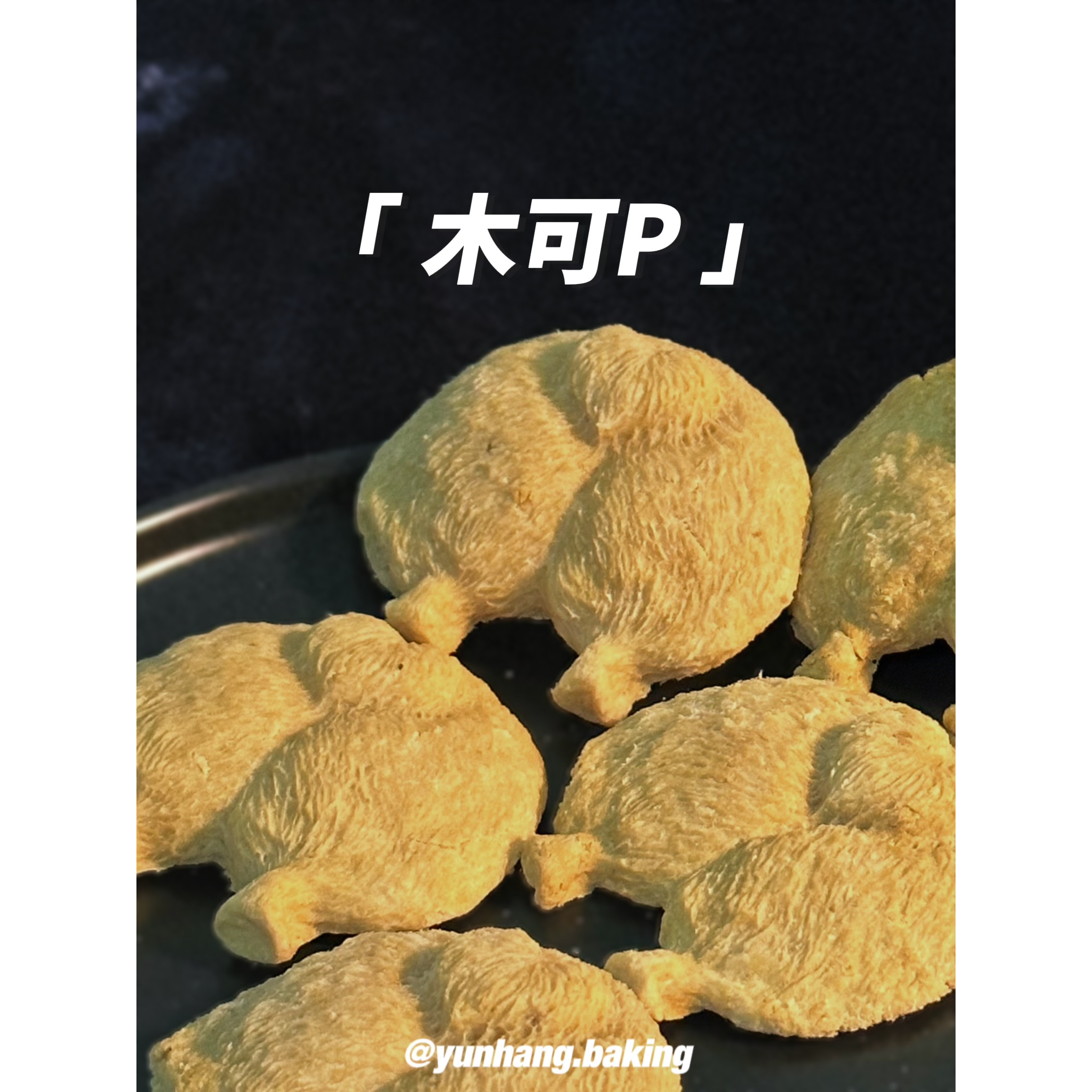 木可P🐾-細節圖2