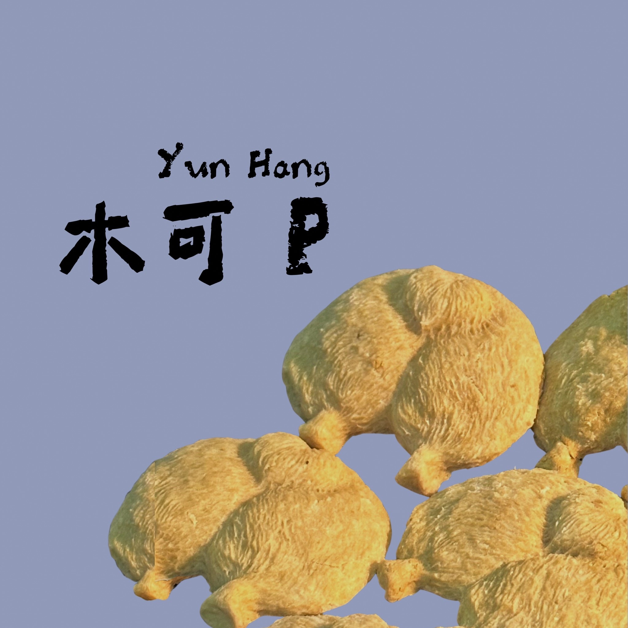 木可P🐾-細節圖3