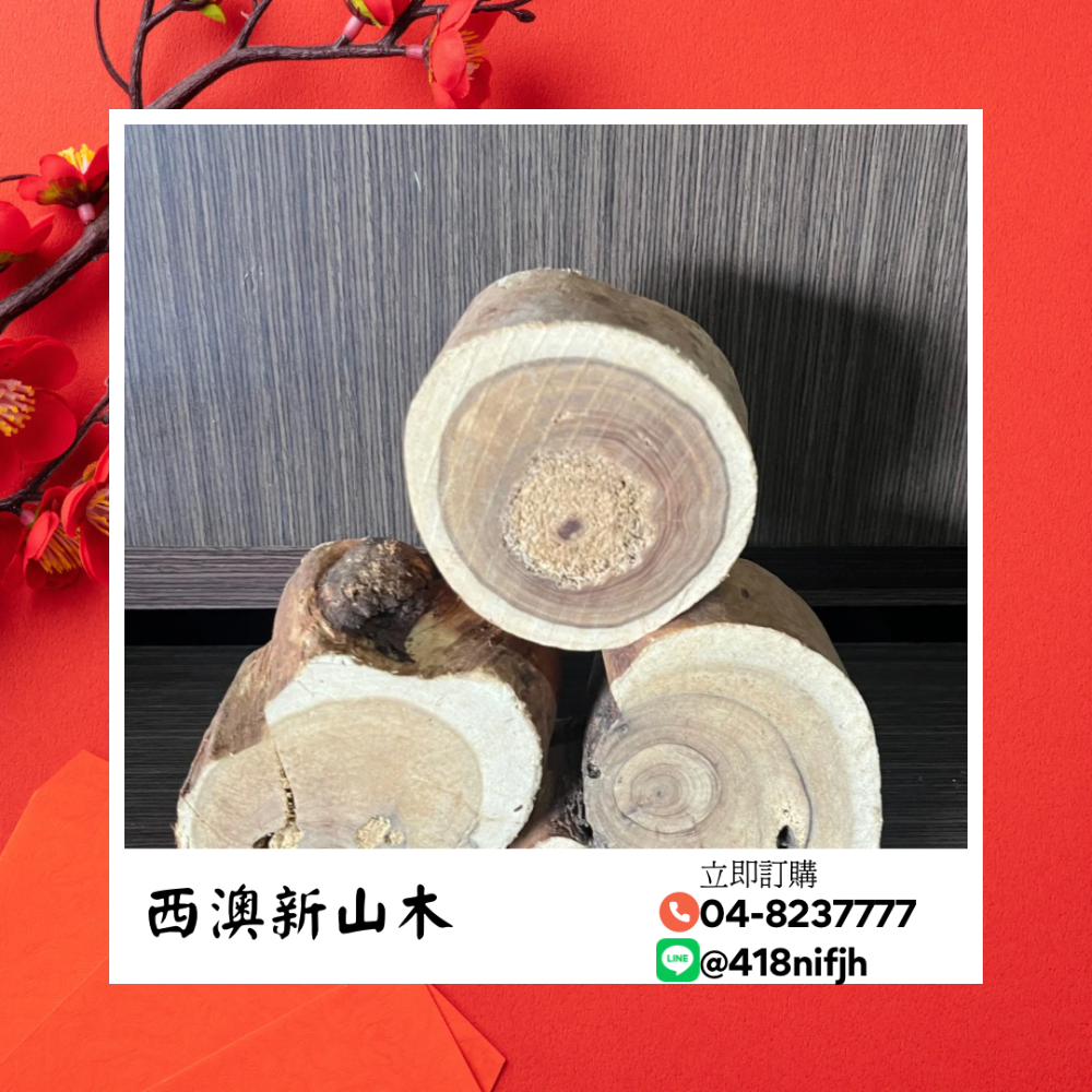 重油肖楠木料、香粉 /  天然肖楠木 /養身 修行 安定精神 放鬆身心-細節圖4