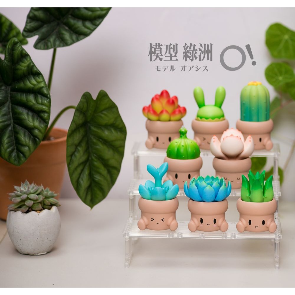 模型綠洲 桌上伸展台DTR 階梯式層架 模型公仔轉蛋皆適用 可擴充 煙燻黑/透明-細節圖5