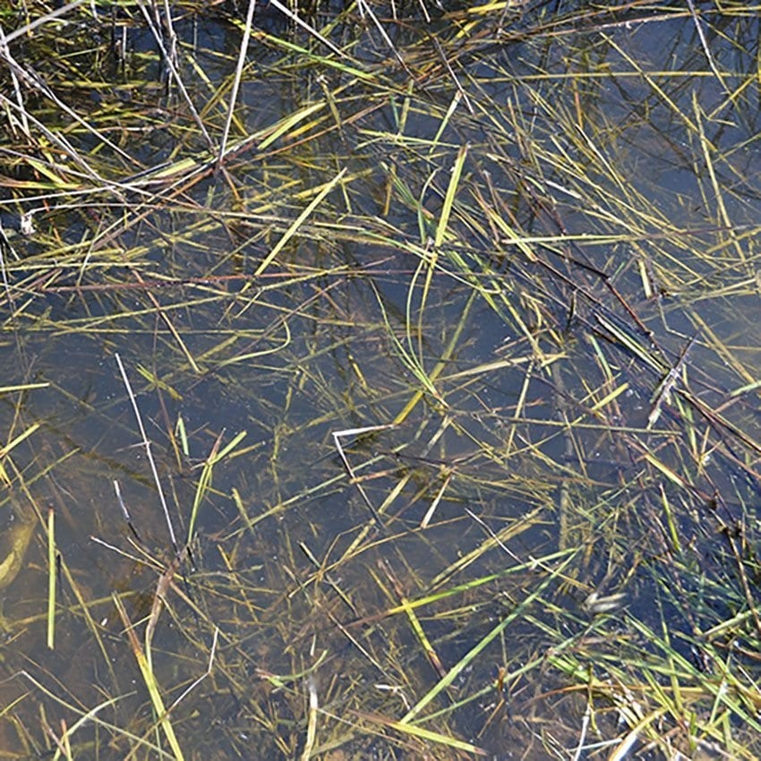 AK interactive 靜態水 250ml 水景/雪景製作 AK8008-細節圖2