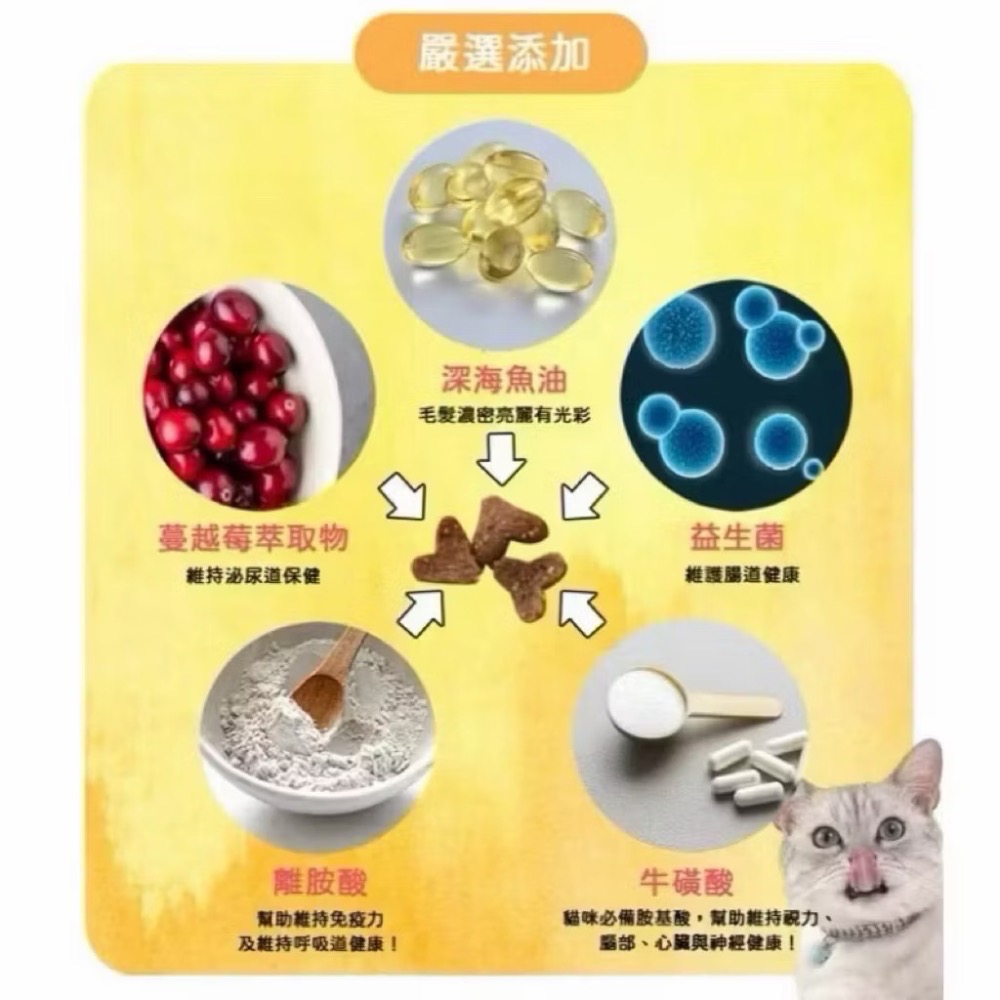 【無敵貓糧】 無敵貓 35g試吃包 隨手包分售 貓樂園 無敵貓貓飼料 官方購入-細節圖6