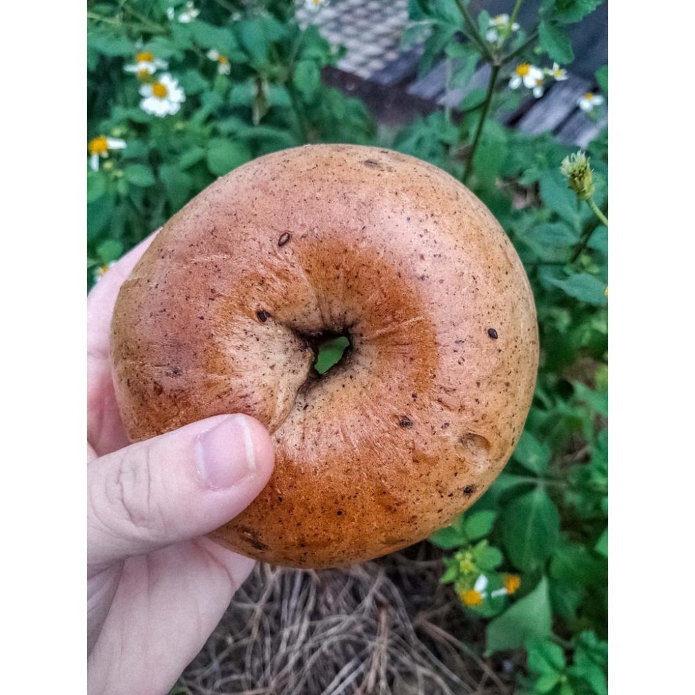 [圓之坊]手工bagel ＂芝麻貝果＂純養生黑芝麻 香濃芝麻餡 外Q內軟 低糖低油奶素 絕無添加 單純健康 下單後現做-細節圖4