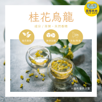 桂花烏龍(15入/袋)｜三角立體茶包 冷泡熱泡皆可 下午茶 台灣現貨 每天出貨 SGS檢驗合格