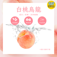白桃烏龍(15入/袋)｜三角立體茶包 冷泡熱泡皆可 下午茶 台灣現貨 每天出貨 SGS檢驗合格