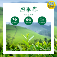 四季春(30入/袋)｜三角立體茶包 冷泡熱泡皆可 下午茶 台灣現貨 每天出貨 SGS檢驗合格