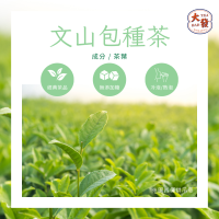 文山包種茶｜茶香淡雅 清甜爽口不澀