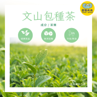 文山包種茶(15入/袋)｜茶香淡雅 清甜爽口不澀｜三角立體茶包 冷泡熱泡皆可 下午茶 台灣現貨 每天出貨 SGS檢驗合格