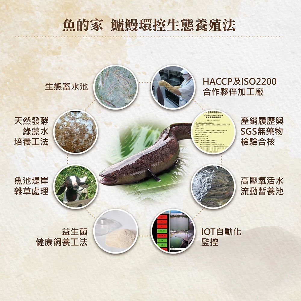 魚的家金線蓮鱸鰻精 30入組-細節圖2