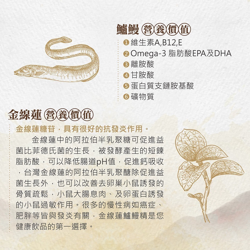 魚的家金線蓮鱸鰻精 30入組-細節圖3