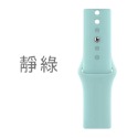 新配色 【快速出貨】Apple Watch 透氣錶帶  單色錶帶 純色錶帶 替換錶帶 iWatch 粉桃黑藍綠灰白 表帶-規格圖8