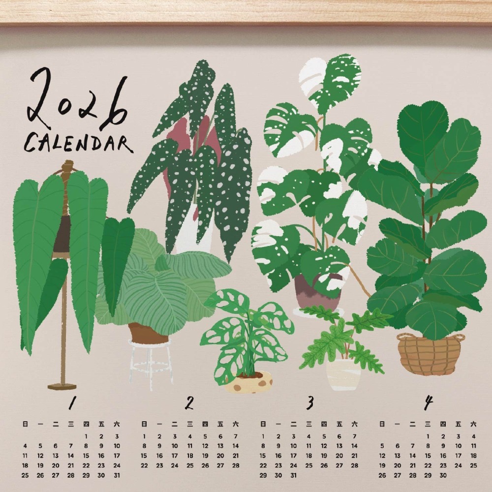 森蕗插畫🌲新款🌲 2026 A3年曆植物系掛曆海報 臥室裝飾牆壁裝飾牆面裝飾居家裝飾交換禮物朋友生日禮物-細節圖3