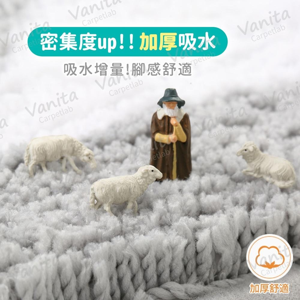 在台現貨｜歐式簡約加厚吸水地毯 防滑 浴室 陽台 飯店 民宿 吸水 毛巾 素色 植絨 加 超 厚 大 地 腳 踏 墊 毯-細節圖3
