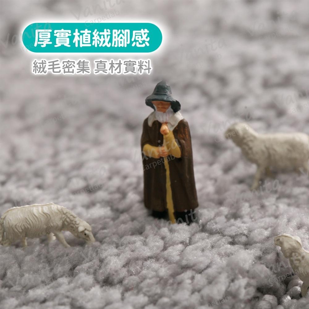 在台現貨｜歐式簡約加厚吸水地毯 防滑 浴室 陽台 飯店 民宿 吸水 毛巾 素色 植絨 加 超 厚 大 地 腳 踏 墊 毯-細節圖7