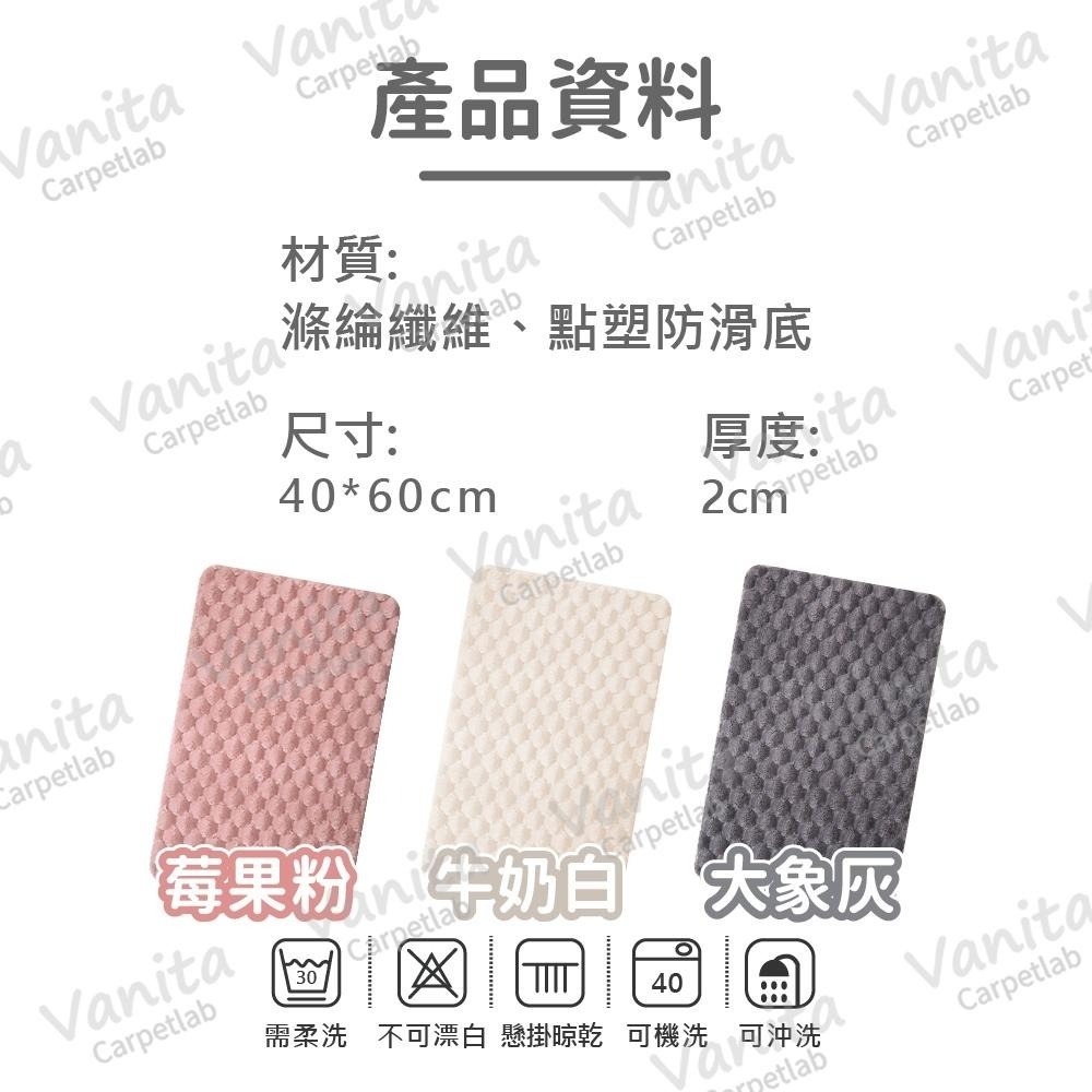 在台現貨｜立體格紋綿羊絨吸水地墊 40*60cm 3色 房間裝飾 ins 典雅 宮廷風 少女 臥室 床邊 腳踏墊 地毯-細節圖9