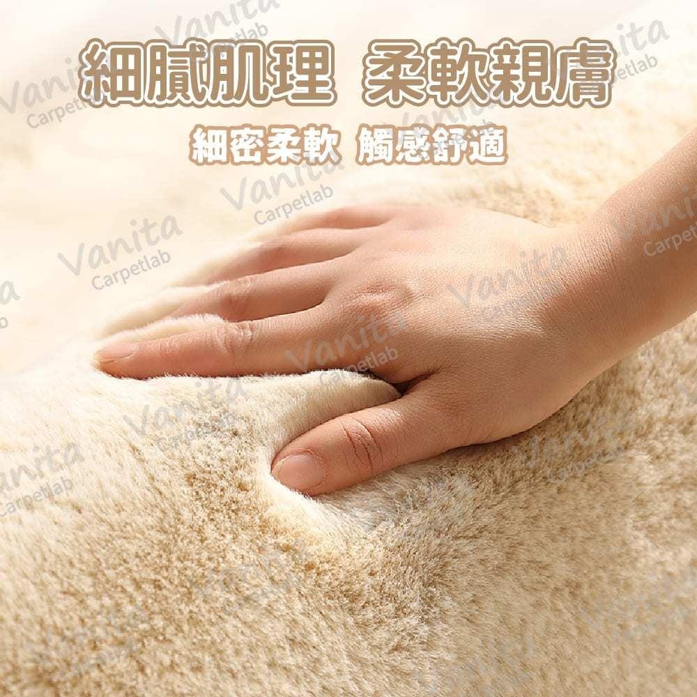台灣出貨｜純色北歐風長毛地毯 北歐 簡約 長毛 素色 房間 床邊 臥室 客廳 大 小 長 厚 地 毯 墊 訂製-細節圖2