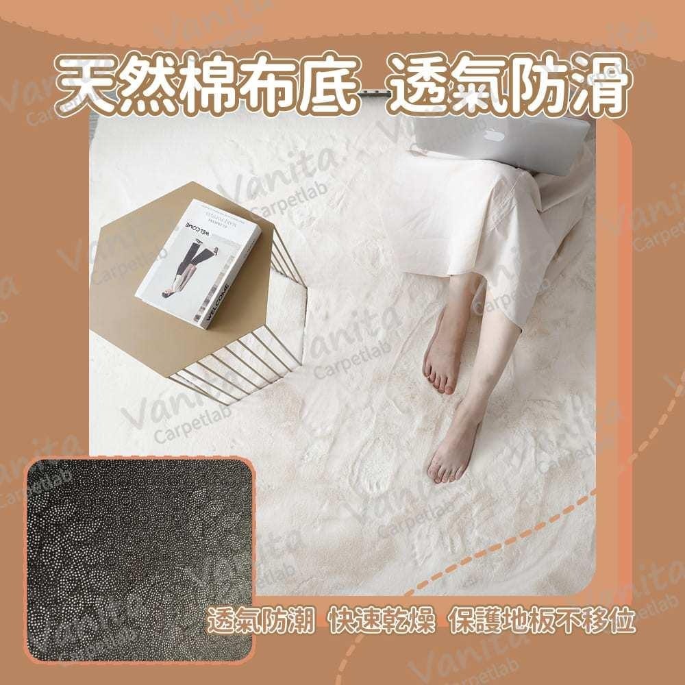 台灣出貨｜純色北歐風長毛地毯 北歐 簡約 長毛 素色 房間 床邊 臥室 客廳 大 小 長 厚 地 毯 墊 訂製-細節圖4