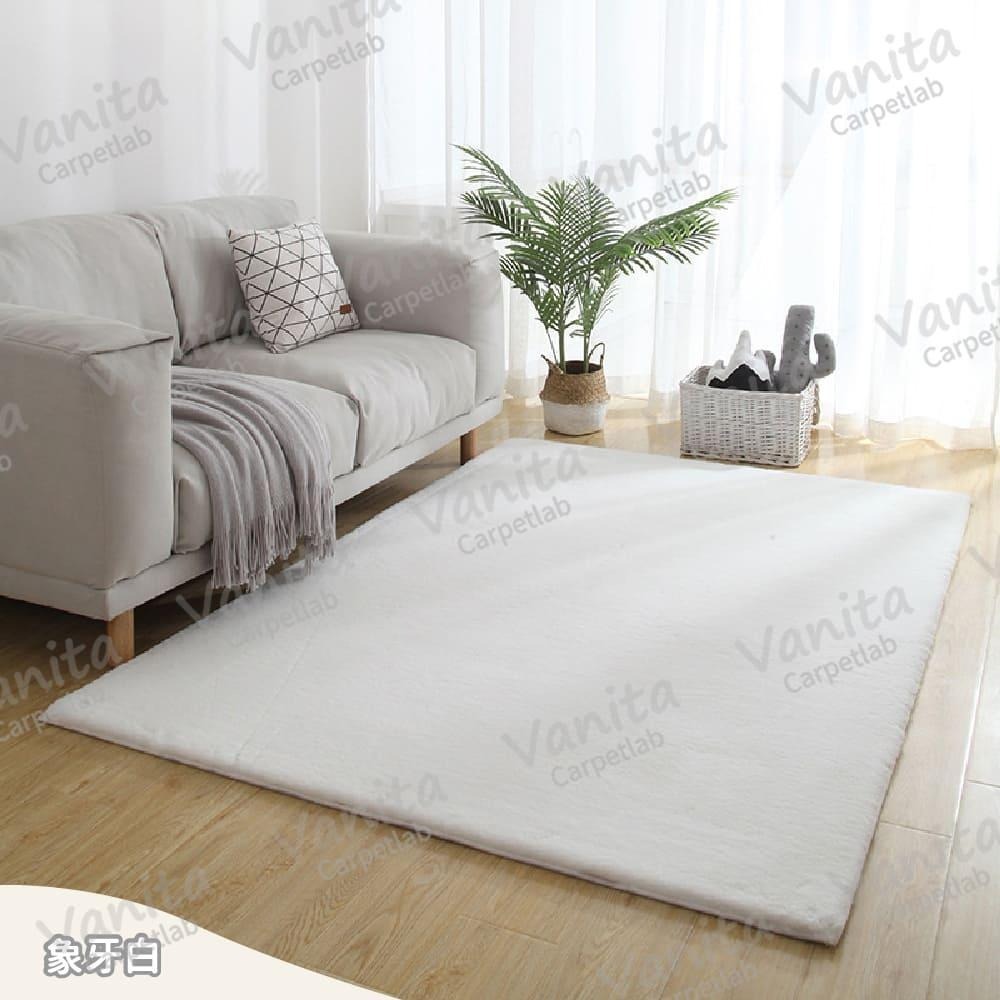 台灣出貨｜純色北歐風長毛地毯 北歐 簡約 長毛 素色 房間 床邊 臥室 客廳 大 小 長 厚 地 毯 墊 訂製-細節圖7