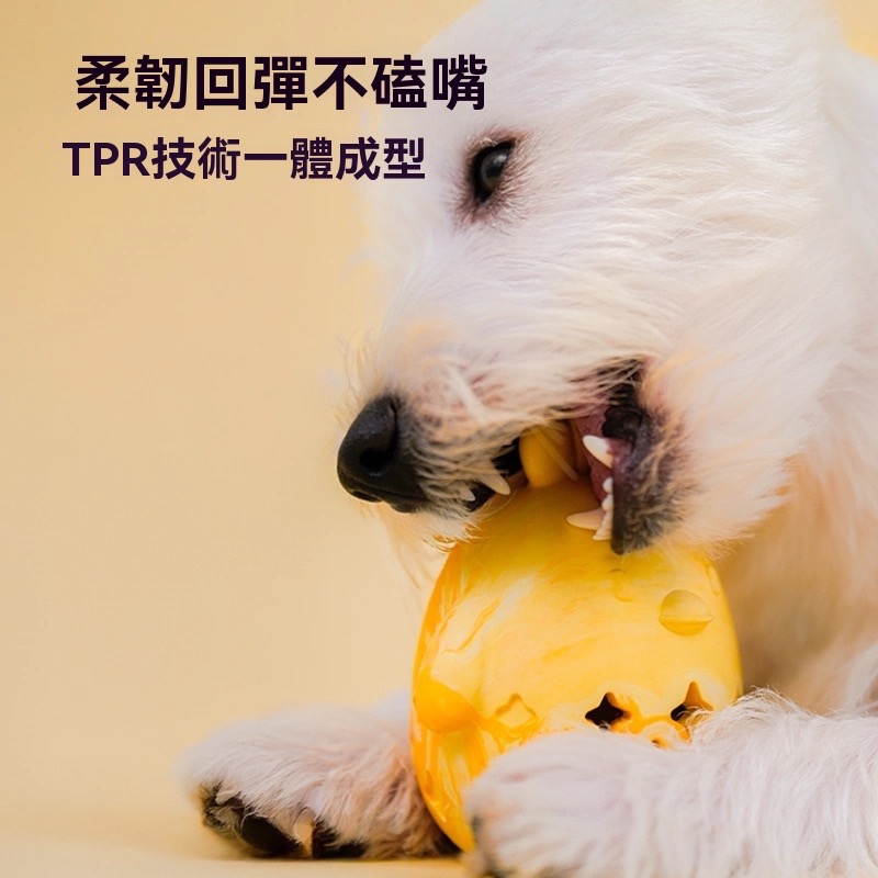 小雞蛋蛋漏食玩具-細節圖5